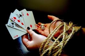 Вход на официальный сайт Casino Wilder
